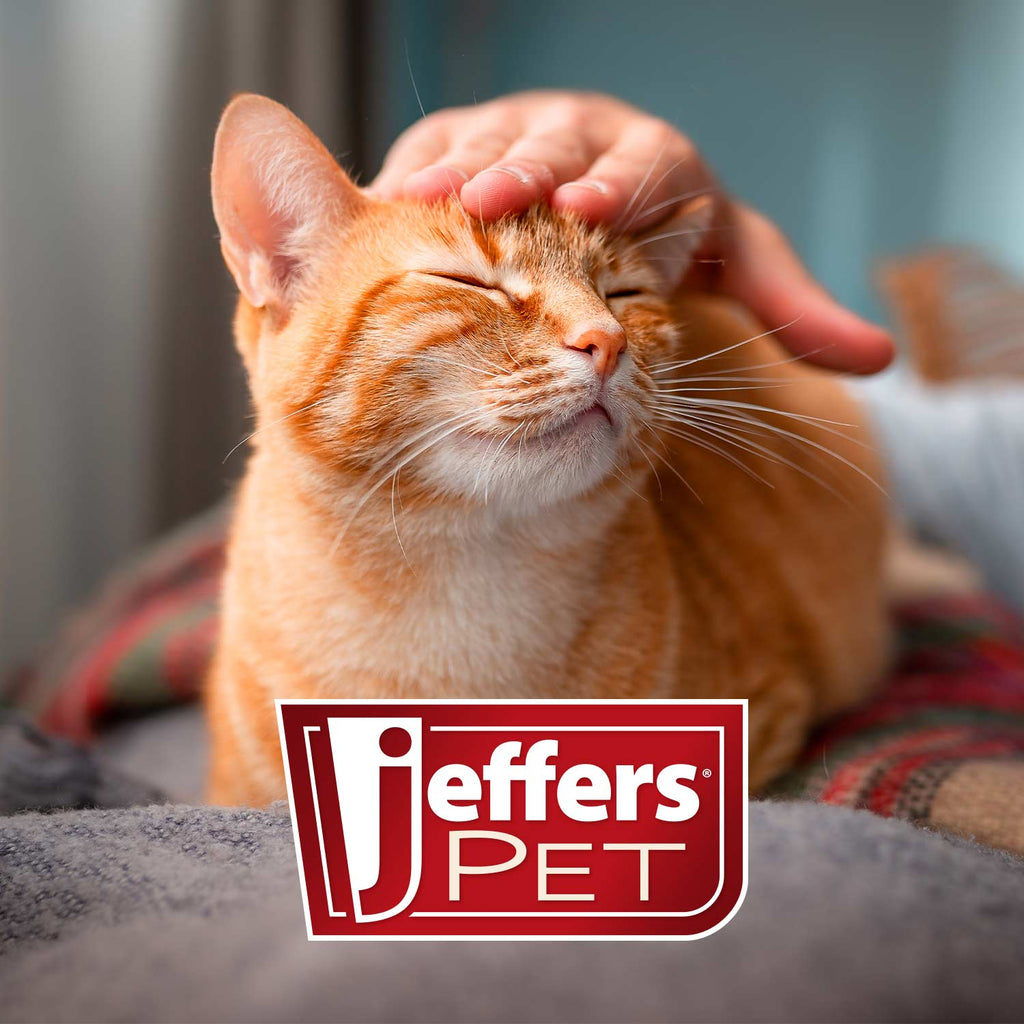 Jeffers Firm Pin Universal Slicker Pet Grooming Brush