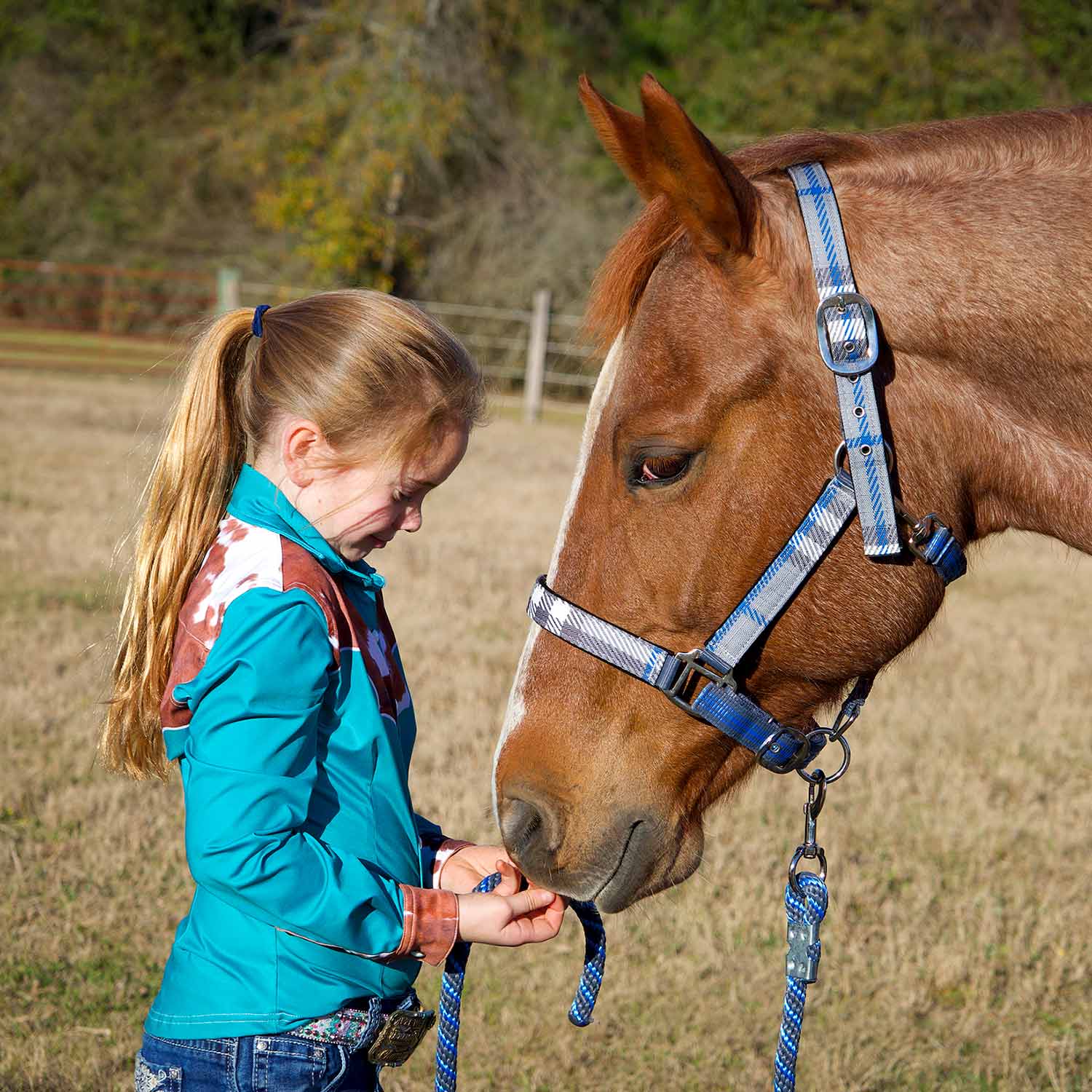 Jeffers Matching Horse Halter & Lead Rope 2 Piece Set, Full Size