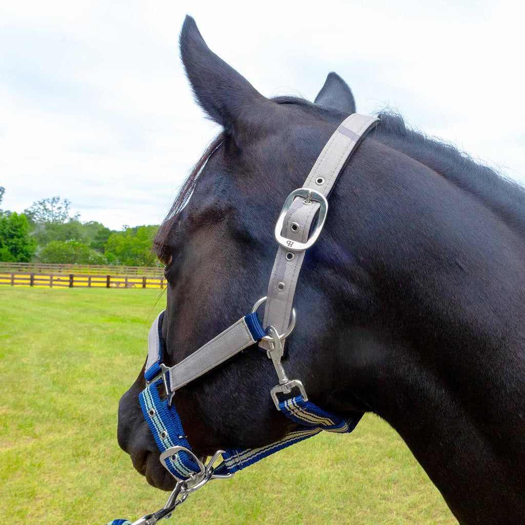 Jeffers Matching Horse Halter & Lead Rope 2 Piece Set, Full Size