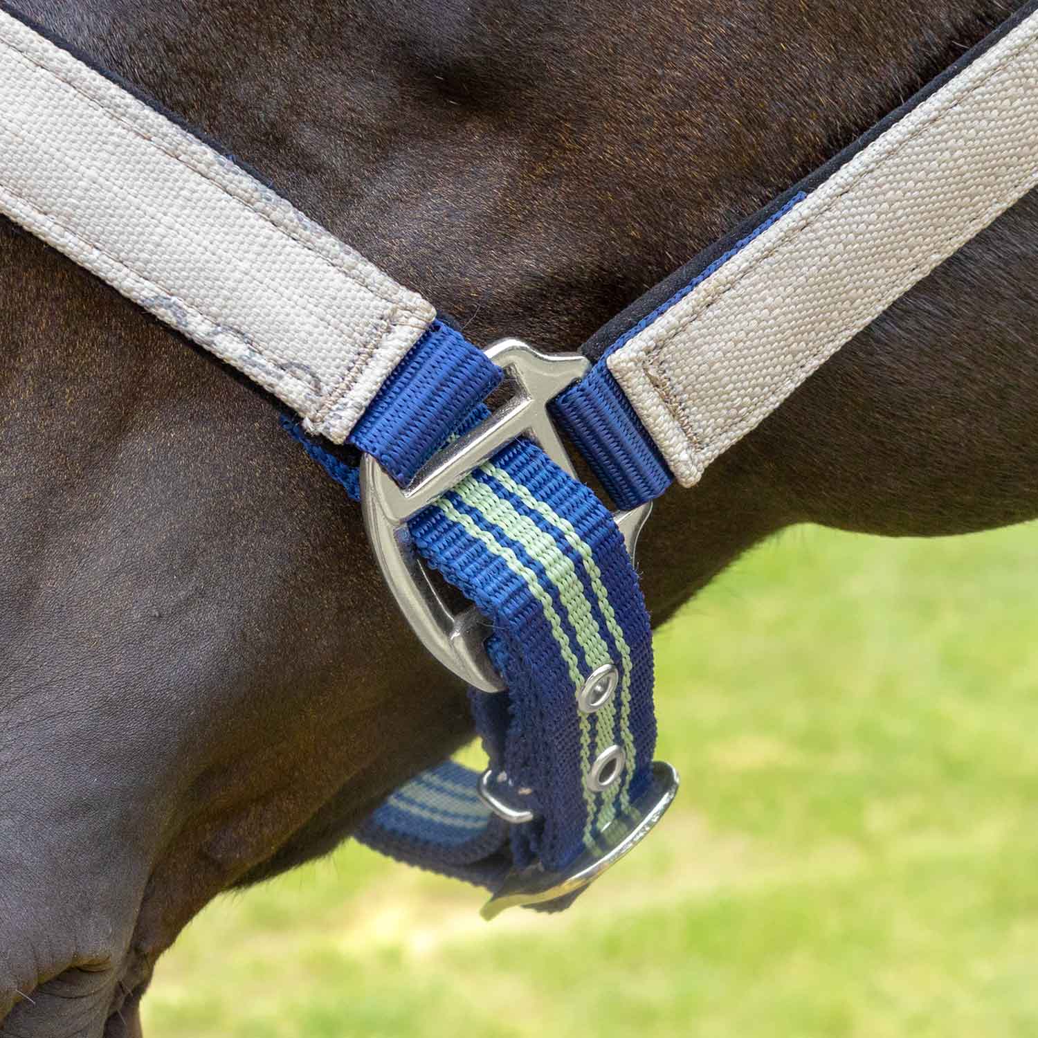 Jeffers Matching Horse Halter & Lead Rope 2 Piece Set, Full Size