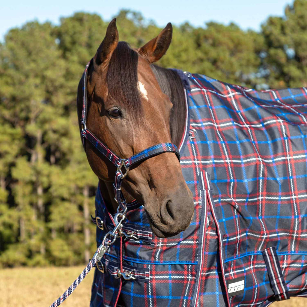 Jeffers Matching Horse Halter & Lead Rope 2 Piece Set, Full Size