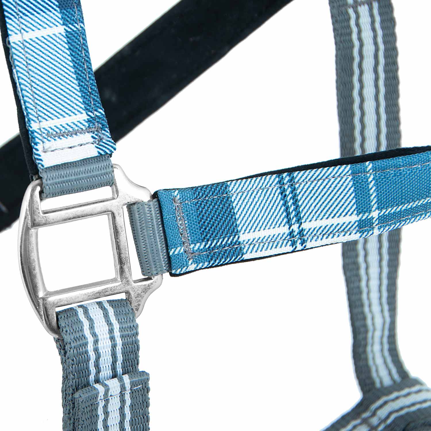 Jeffers Matching Horse Halter & Lead Rope 2 Piece Set, Full Size