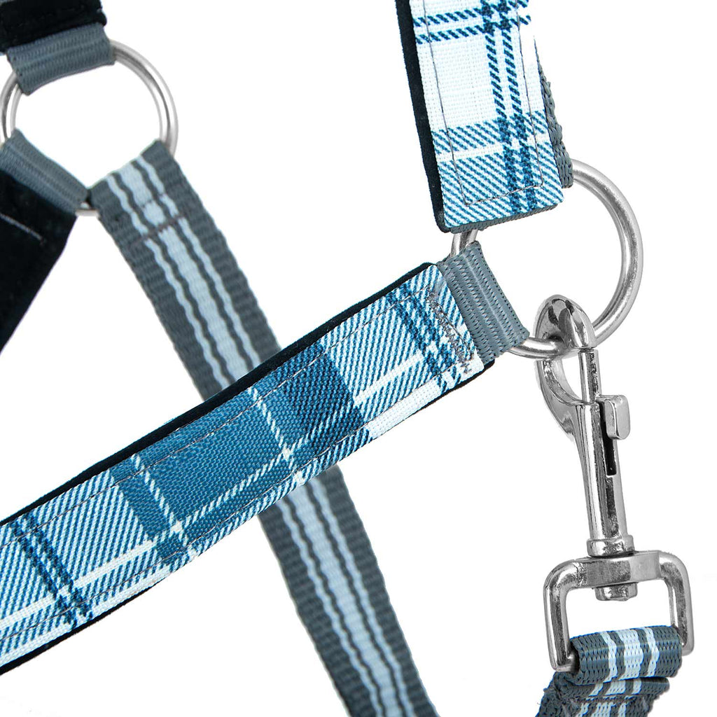 Jeffers Matching Horse Halter & Lead Rope 2 Piece Set, Full Size