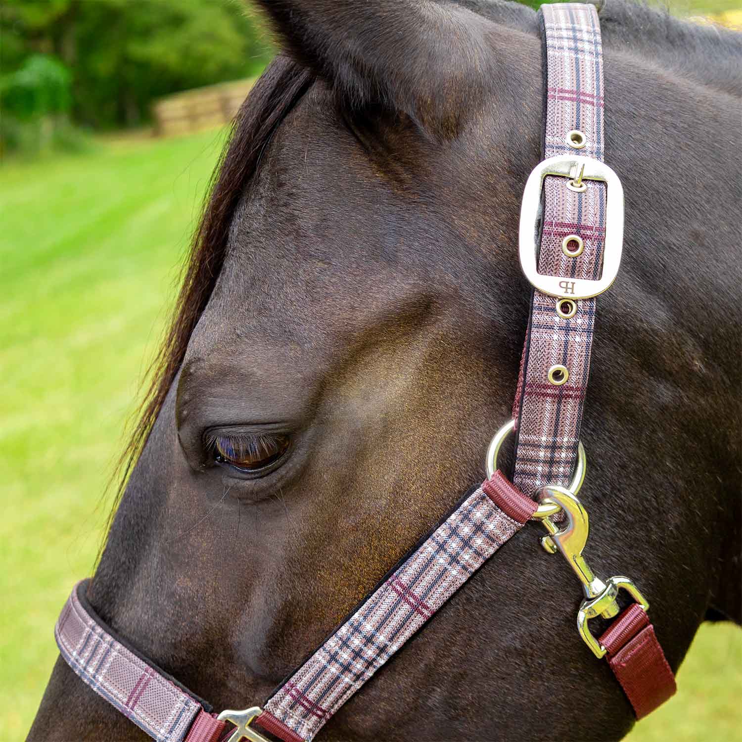 Jeffers Matching Horse Halter & Lead Rope 2 Piece Set, Full Size
