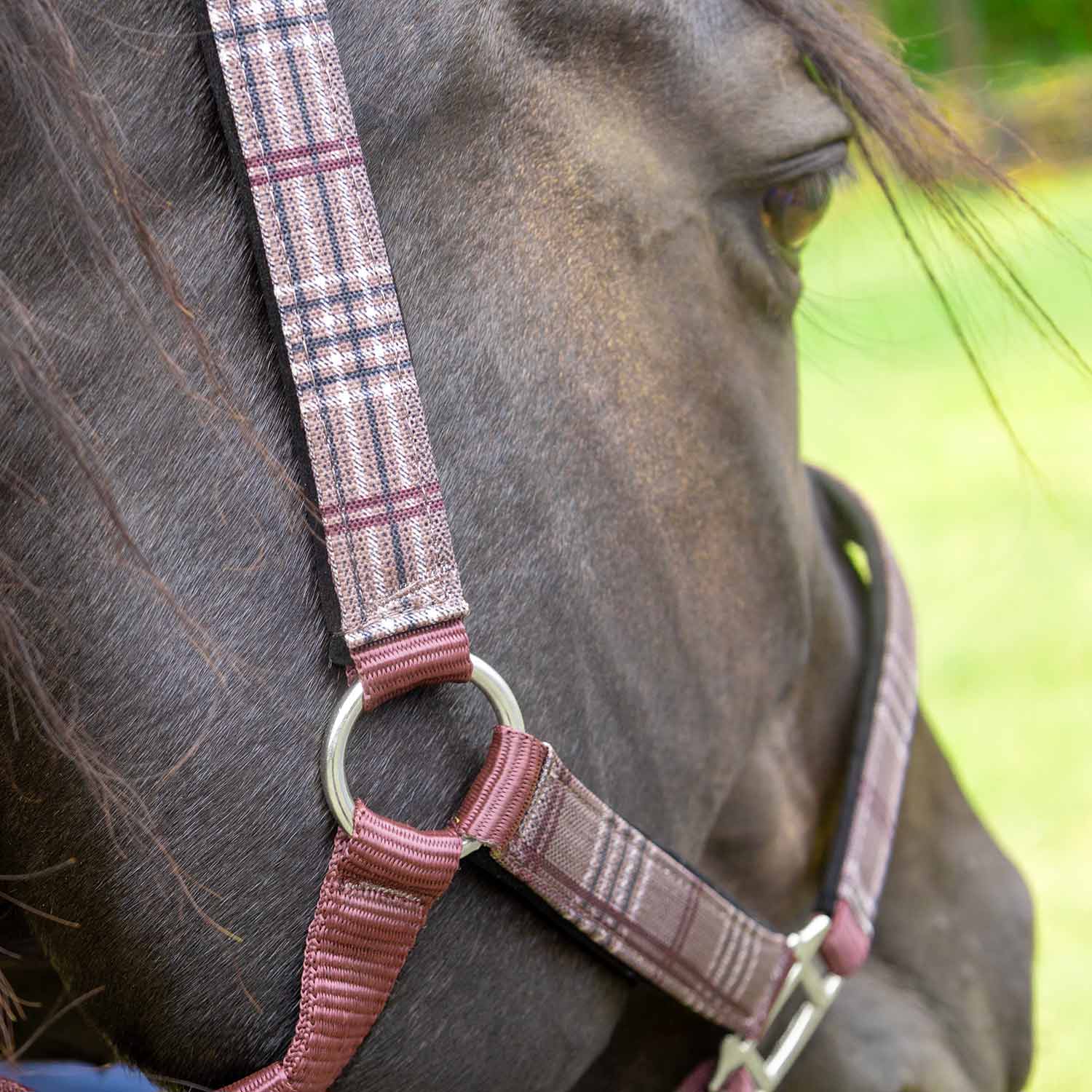 Jeffers Matching Horse Halter & Lead Rope 2 Piece Set, Full Size