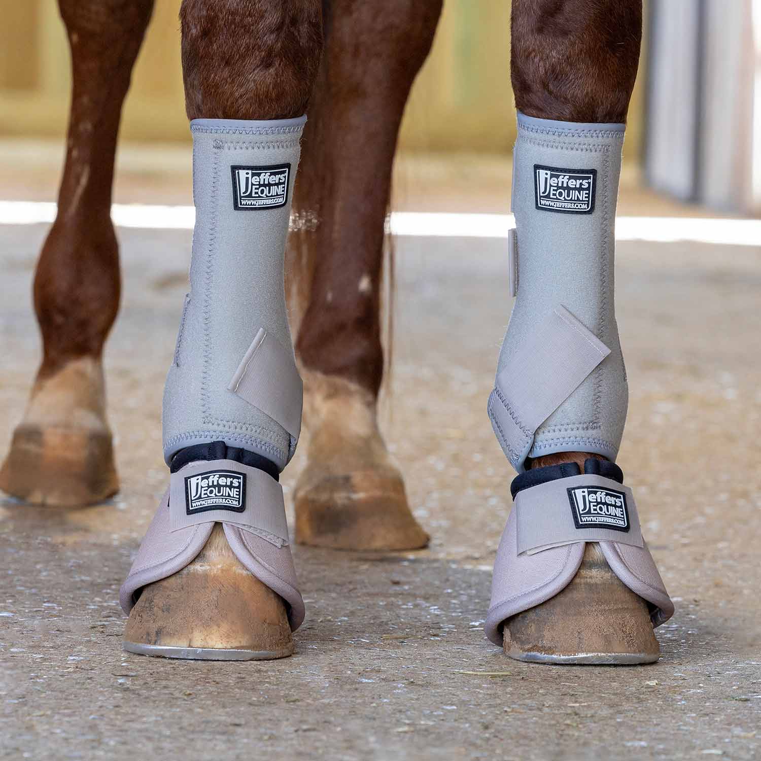 Jeffers Protective Horse Boots, Solid Colors