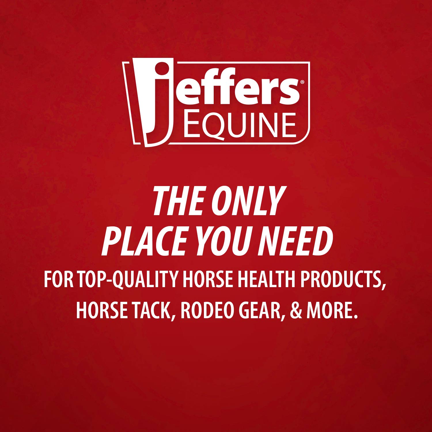 Jeffers Equine Menthol Cooling Shampoo for Horses