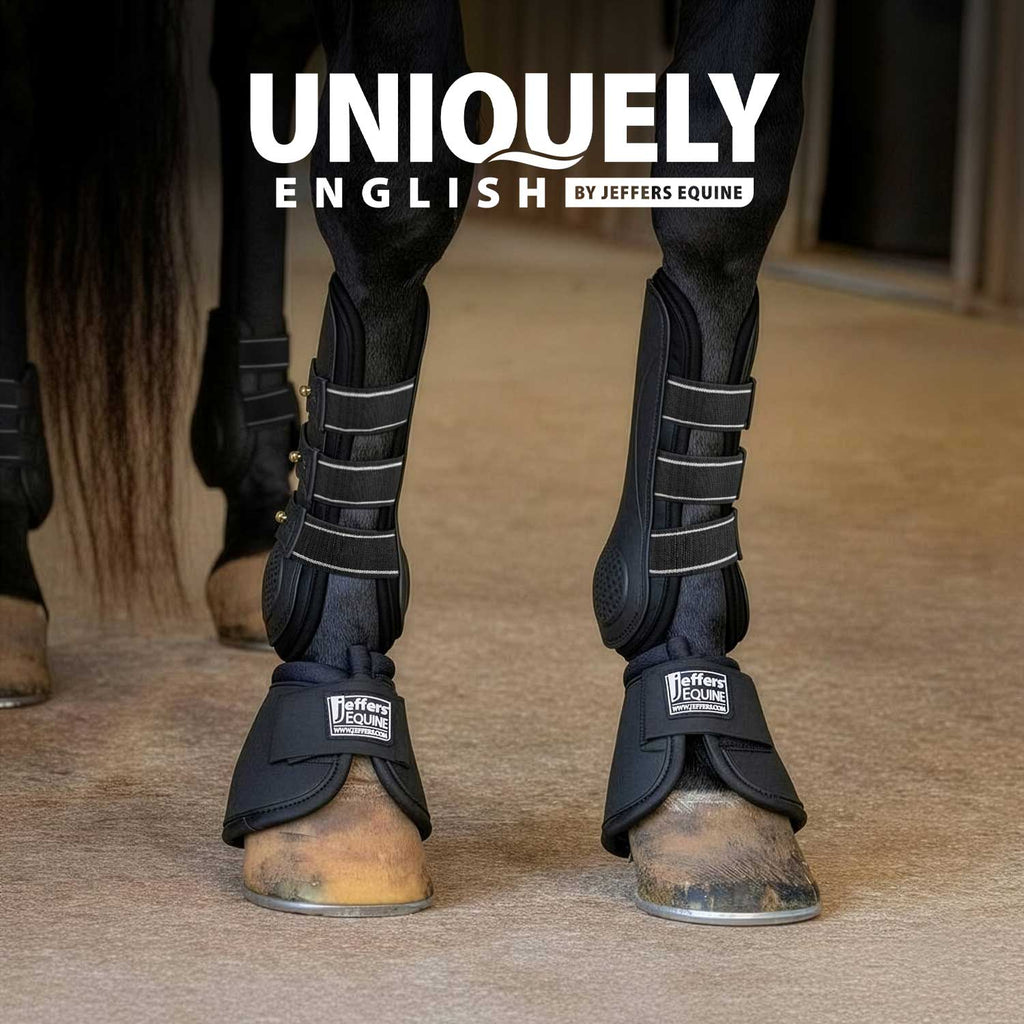 Jeffers Uniquely English Horse Tendon Boots, 2-Pack