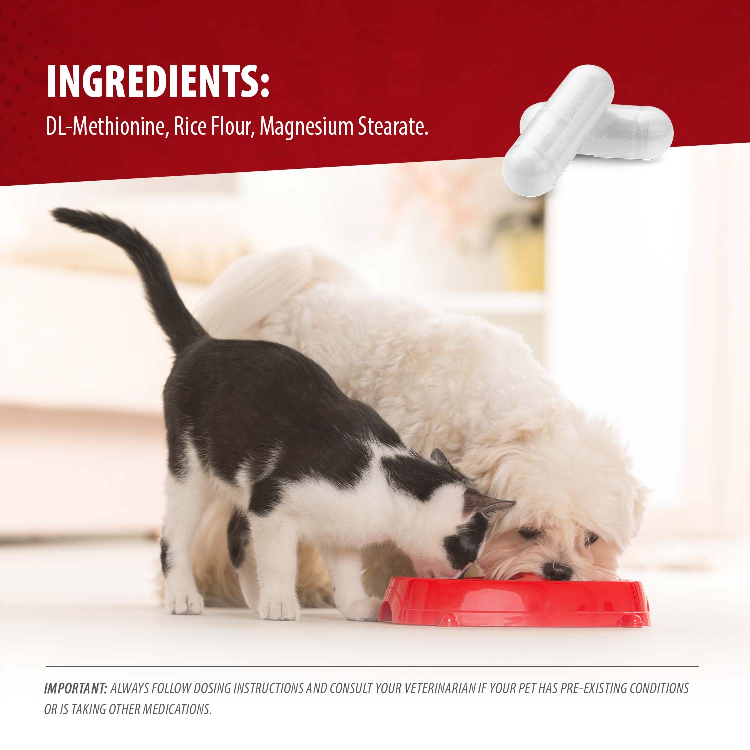 Jeffers Uracid DL-Methionine 0.2g Capsules for Dogs & Cats – Supports Urinary Tract, Reduces Urine Odor, Prevents Stones