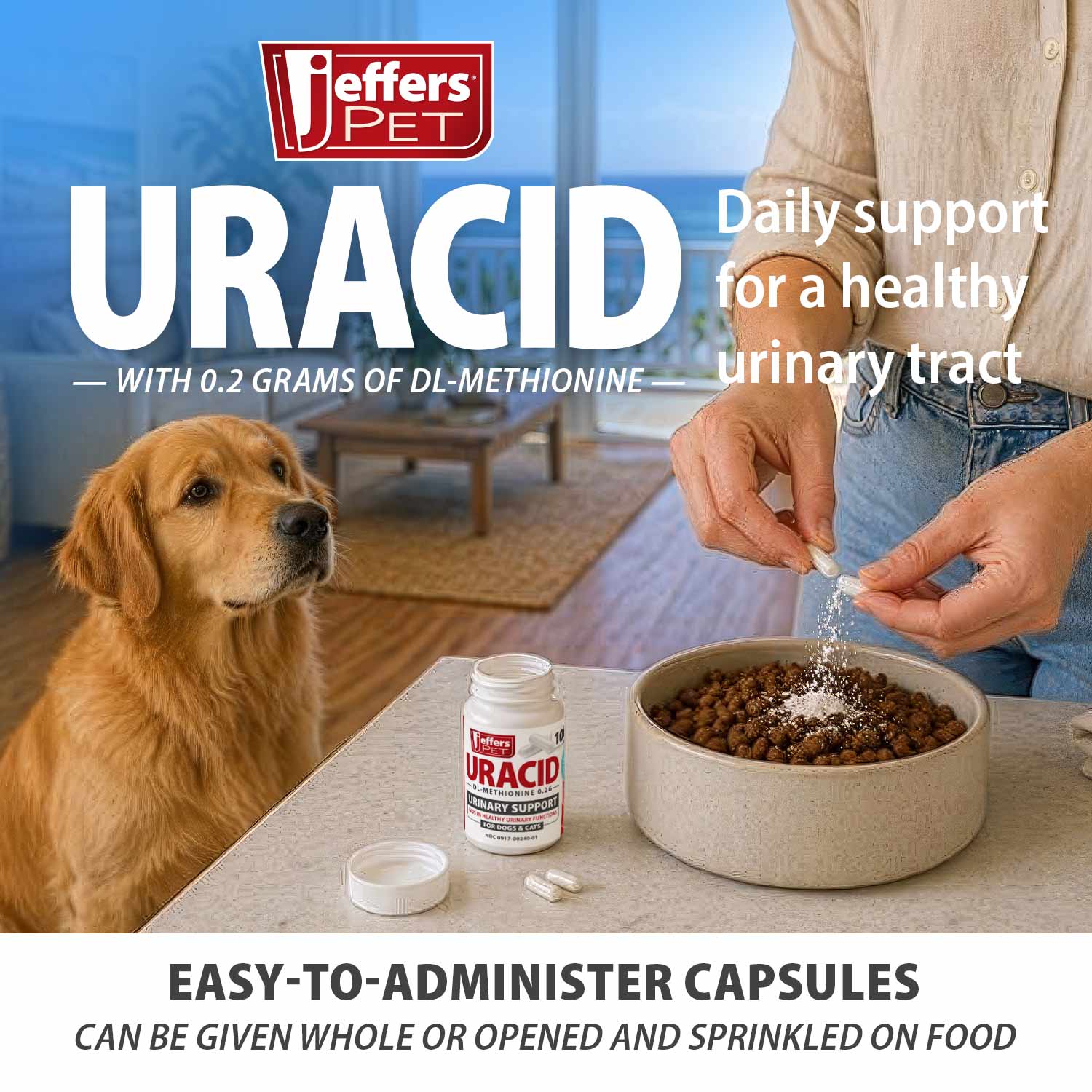 Jeffers Uracid DL-Methionine 0.2g Capsules for Dogs & Cats – Supports Urinary Tract, Reduces Urine Odor, Prevents Stones