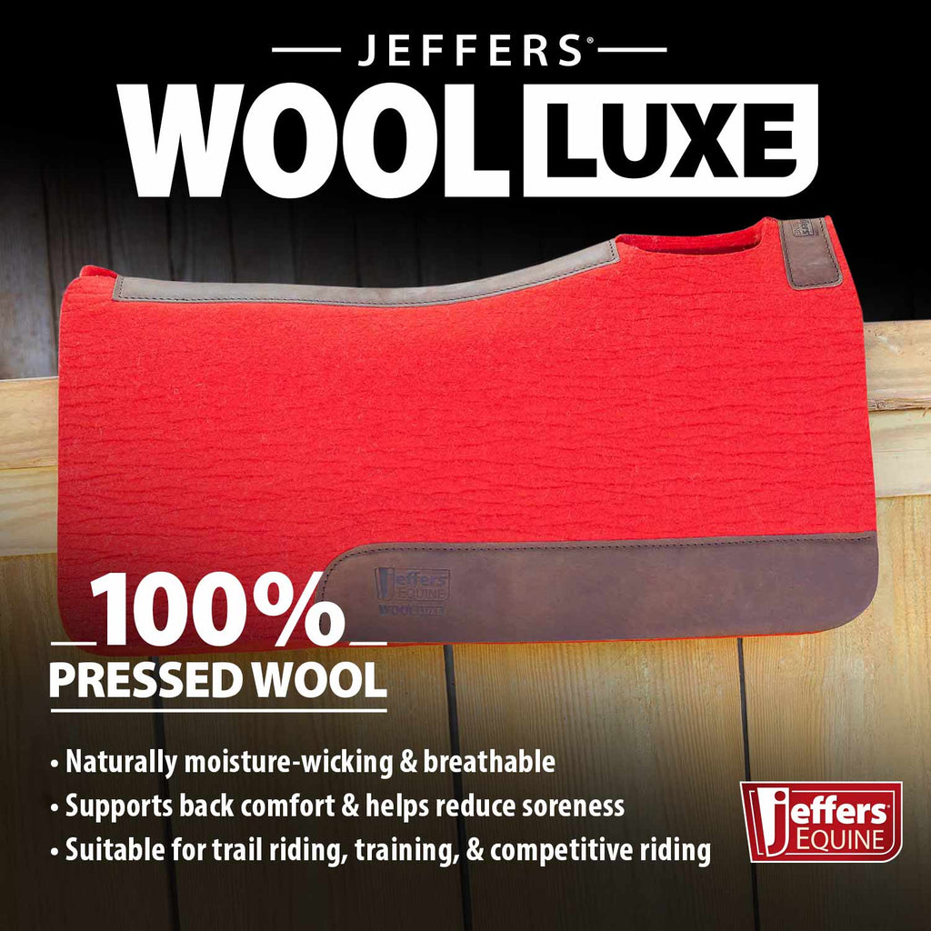 Jeffers WoolLuxe 100% Wool Equine Saddle Pad – Cushioned, Breathable, and Shock-Absorbing