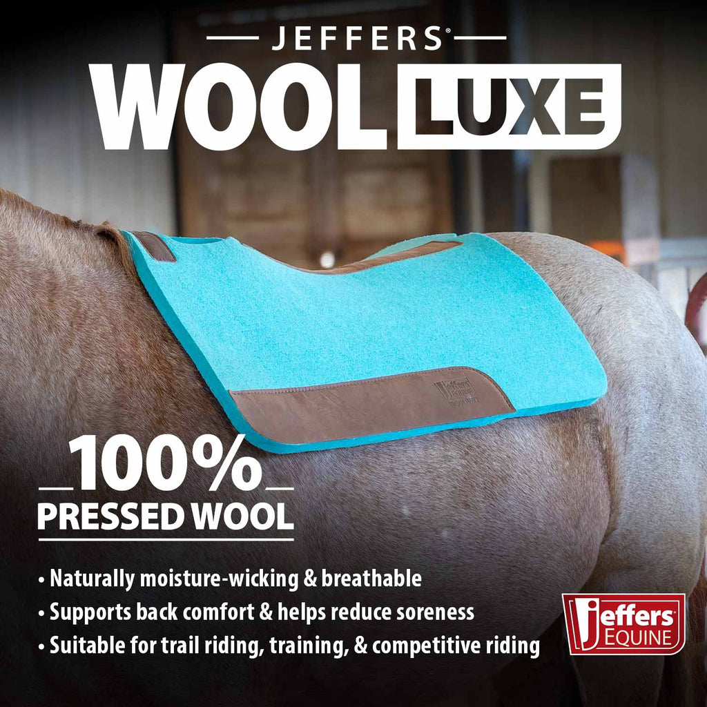 Jeffers WoolLuxe 100% Wool Equine Saddle Pad – Cushioned, Breathable, and Shock-Absorbing