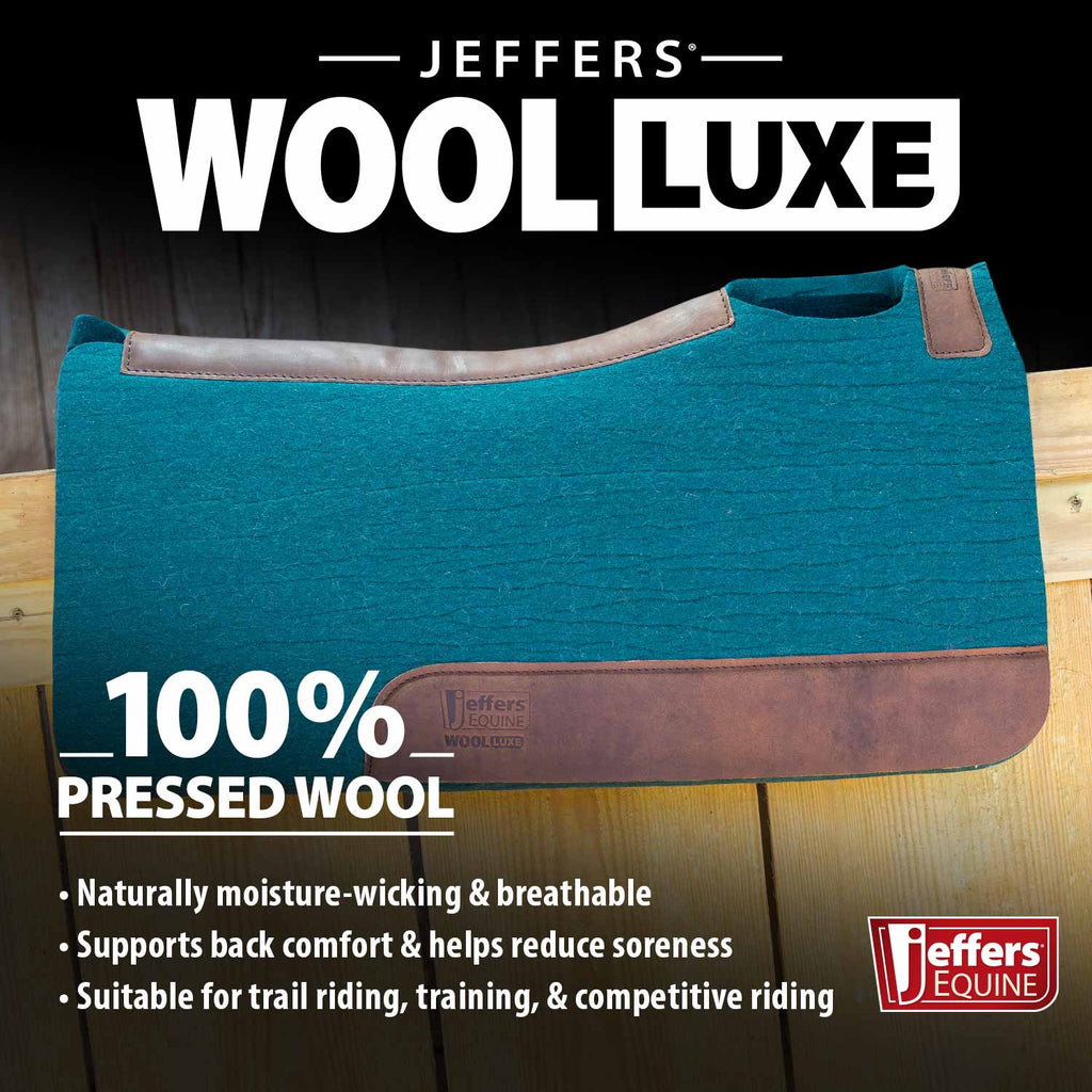 Jeffers WoolLuxe 100% Wool Equine Saddle Pad – Cushioned, Breathable, and Shock-Absorbing