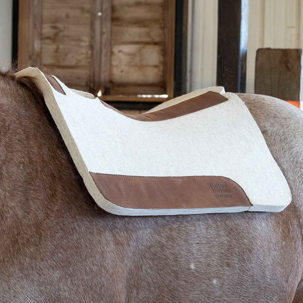 Jeffers WoolLuxe 100% Wool Equine Saddle Pad – Cushioned, Breathable, and Shock-Absorbing