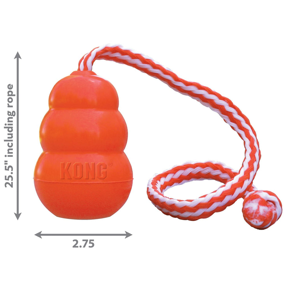 KONG Aqua Floating Water Dog Toy
