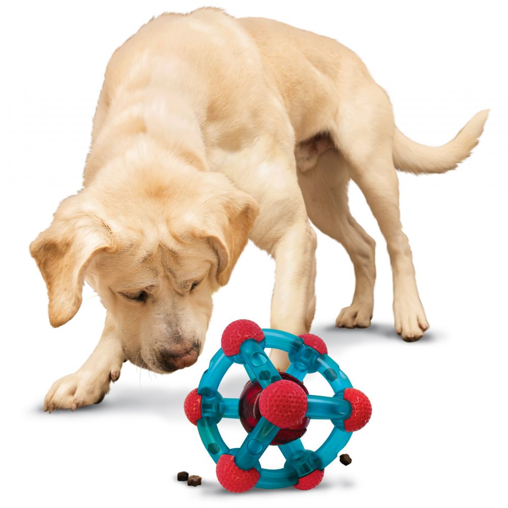KONG Rewards Tinker Treat Dispensing Dog Toy