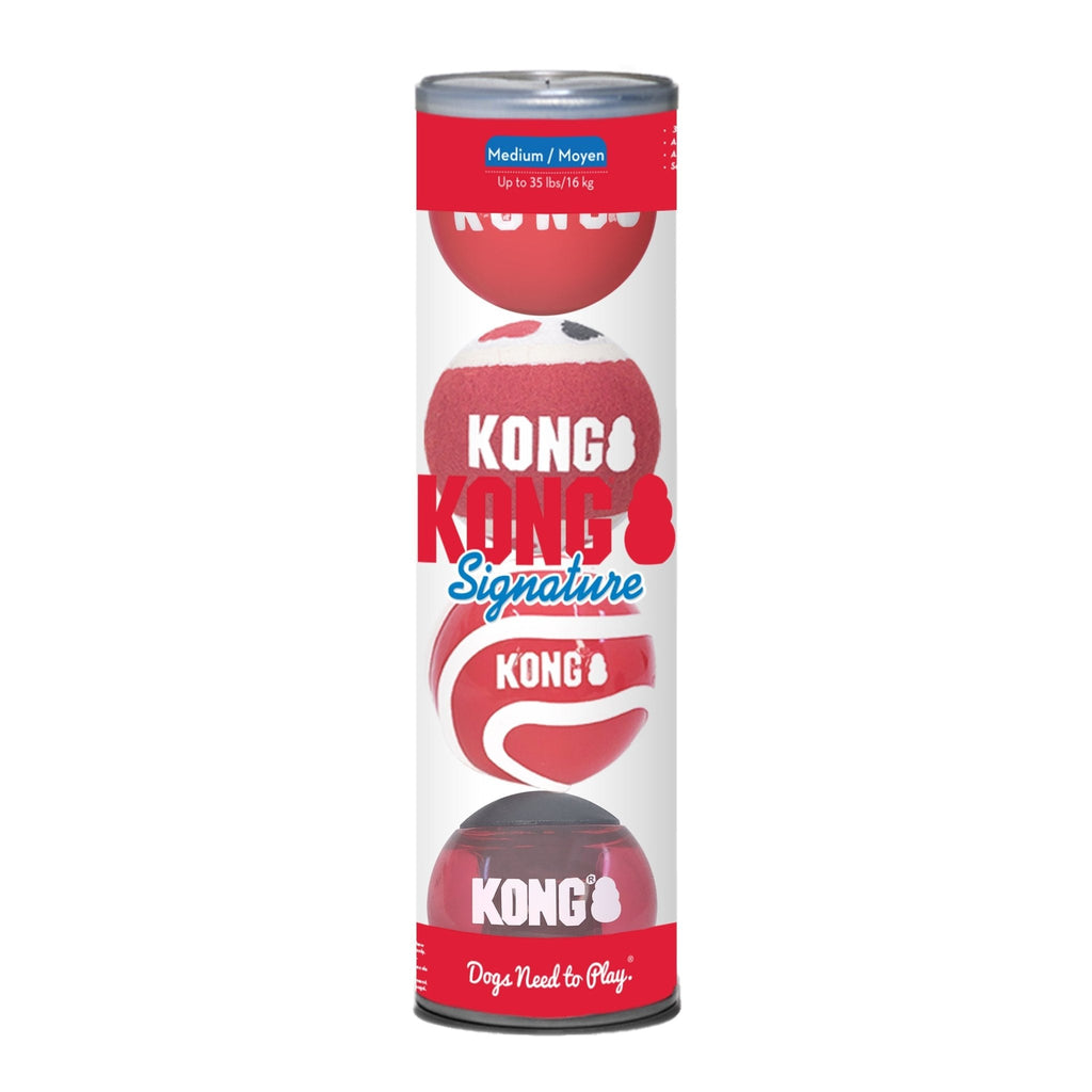 KONG Signature Fetch Dog Toy Balls, Multi-Pack