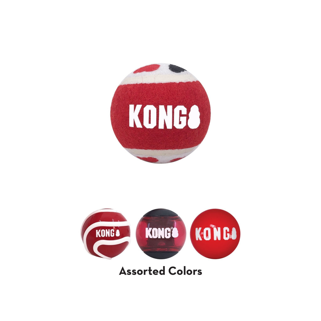 KONG Signature Fetch Dog Toy Balls, Multi-Pack