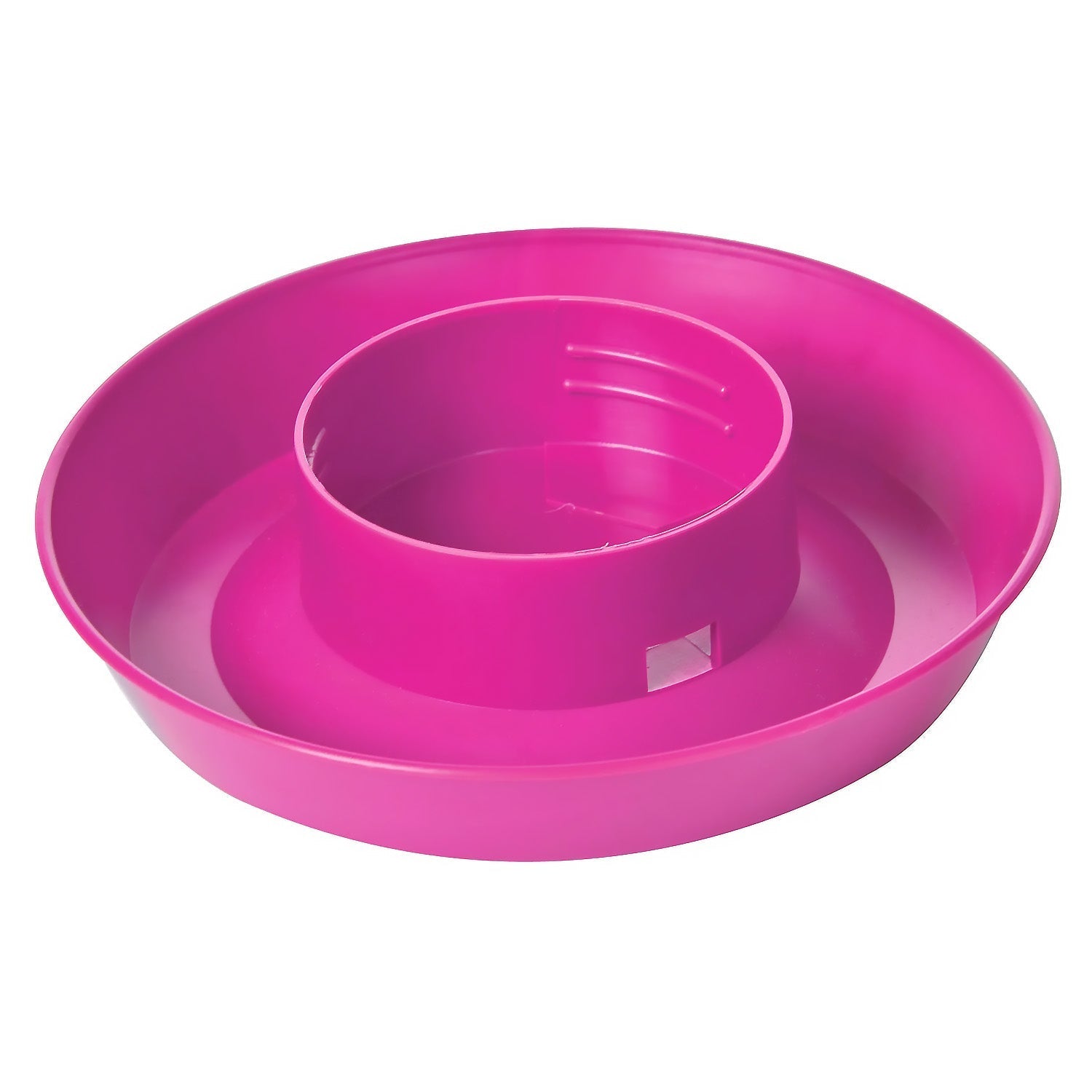 Little Giant 1 Quart Chicken Feeder & Waterer – Plastic Screw-On Jar & Base (Sold Separately)