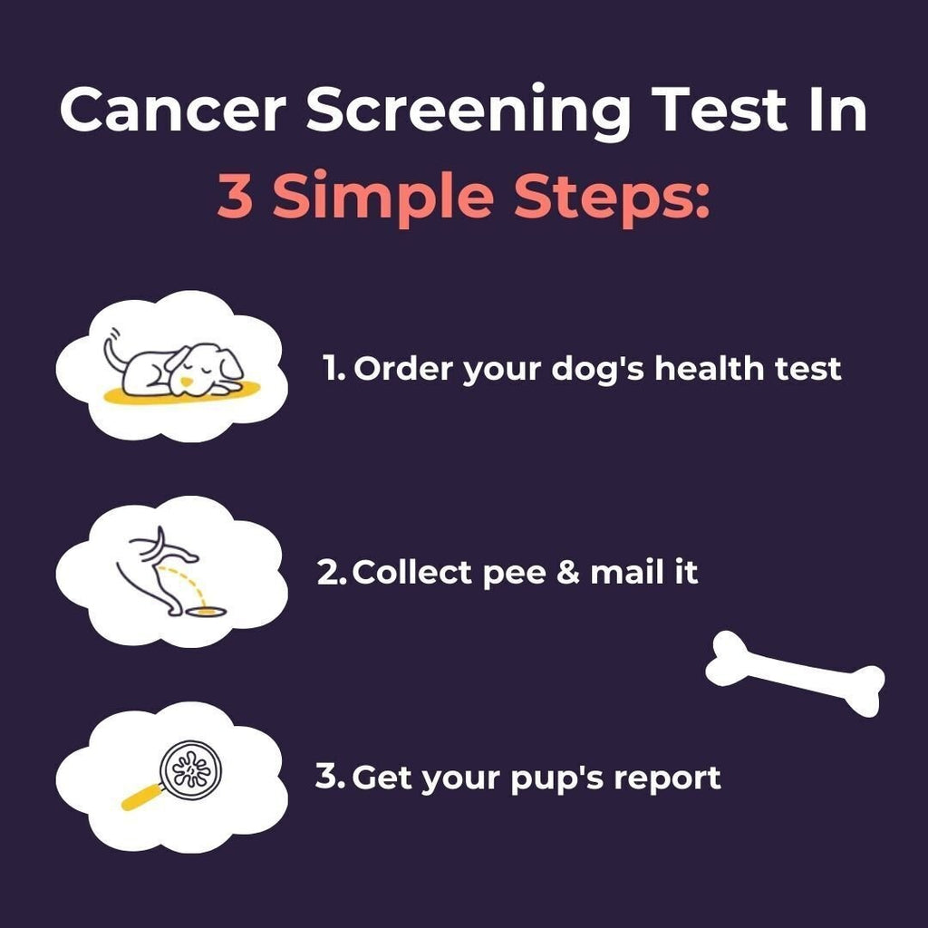 Oncotect Essential At-Home Dog Cancer Screening Test Kit