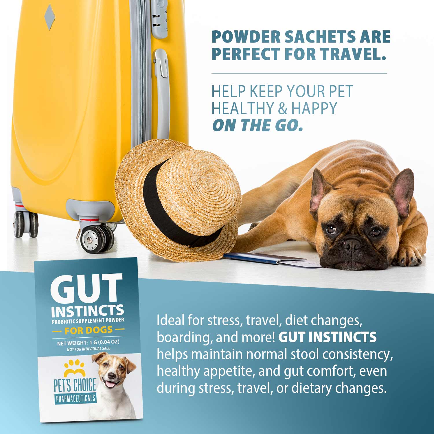 Pet's Choice Gut Instincts Probiotic Powder Packets for Dogs – Daily Digestive & Immune Support, 30 Count