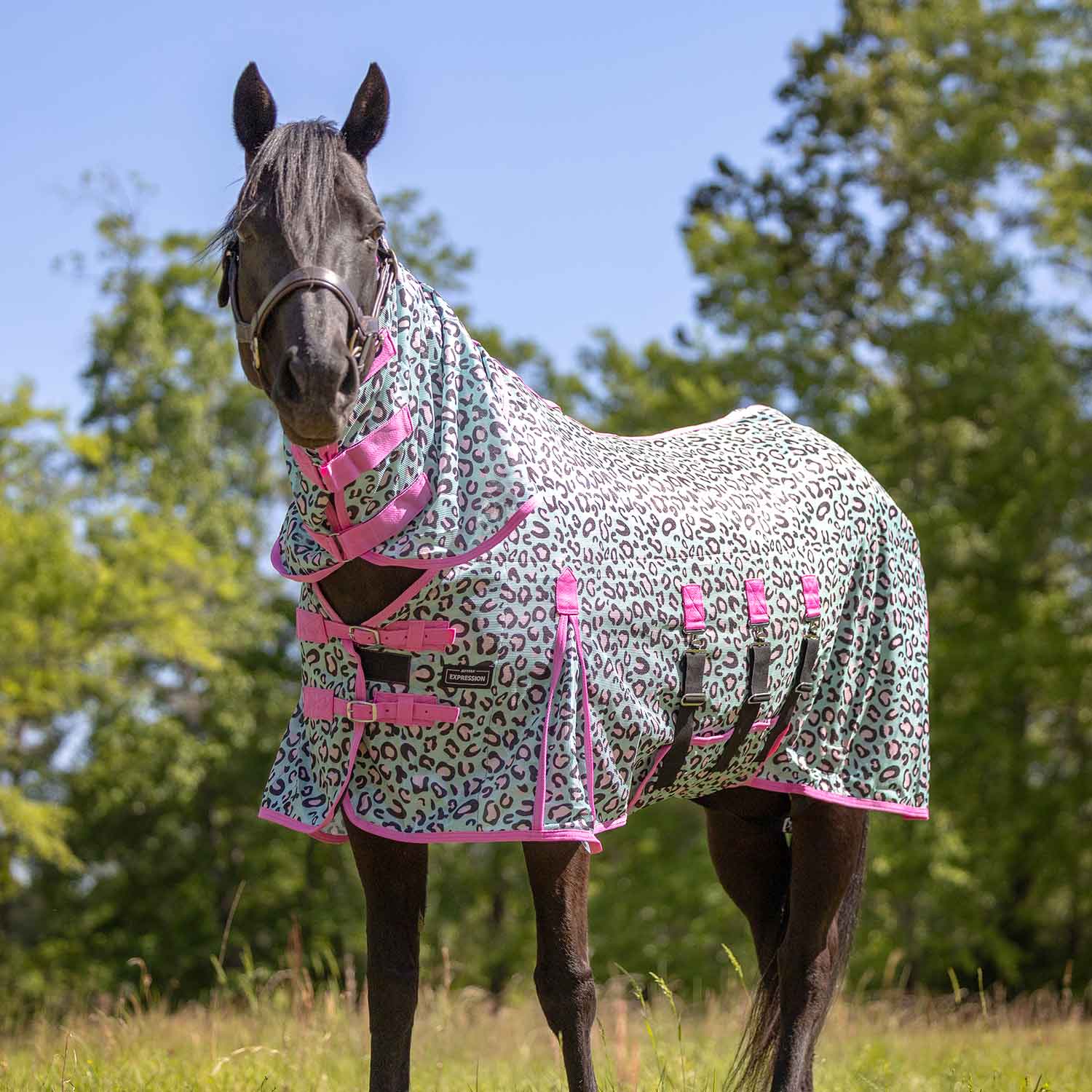 Jeffers Expression Softmesh Combo Neck Horse Fly Sheet