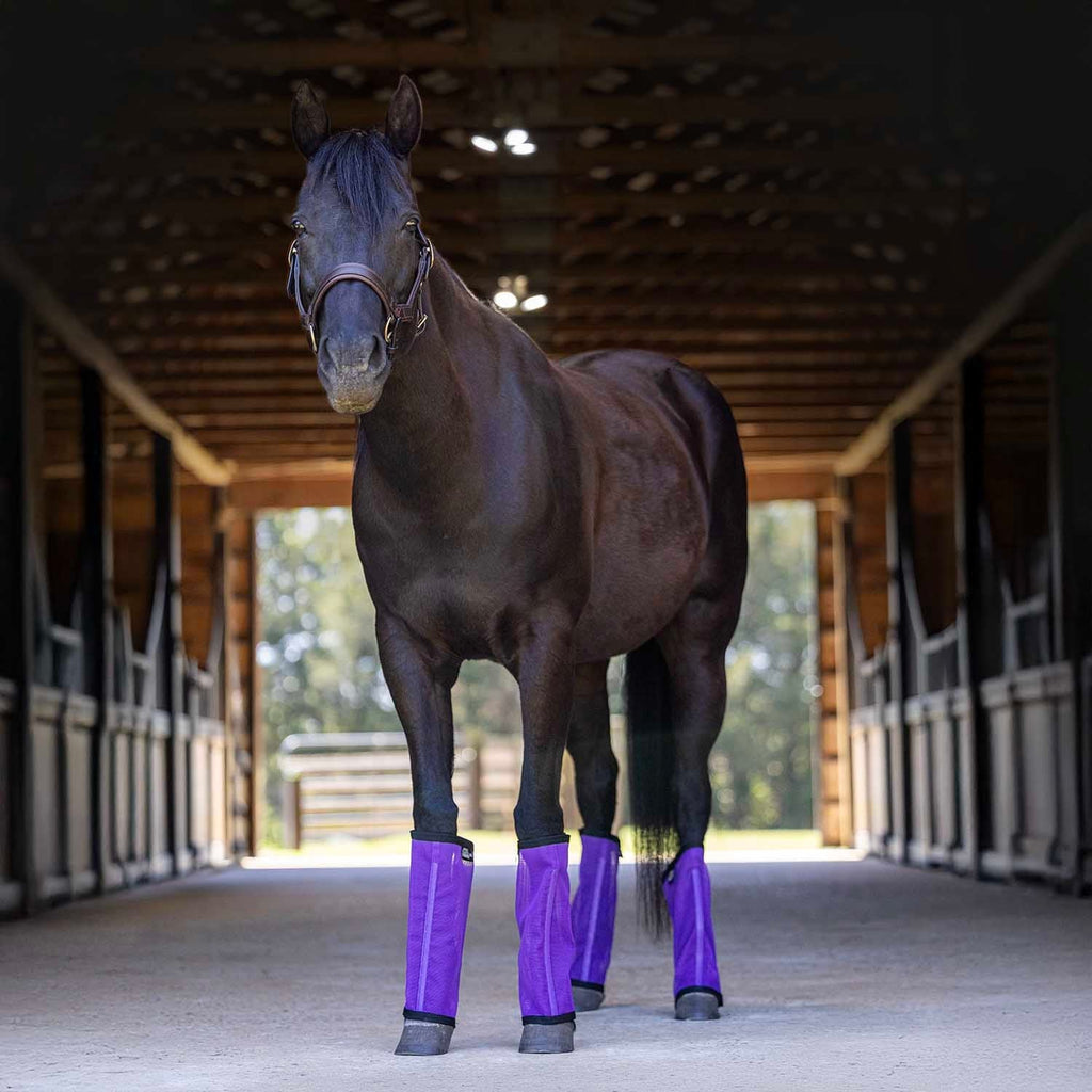 Jeffers Romper Stomper "Stomp-Free" Fly Boots for Horses, 4 pack