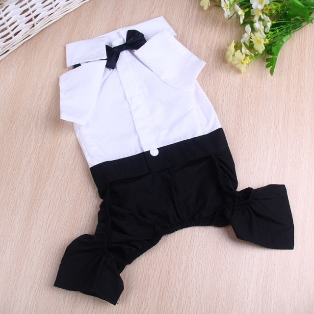 Handsome Stylish Pet Suit with Bow Tie