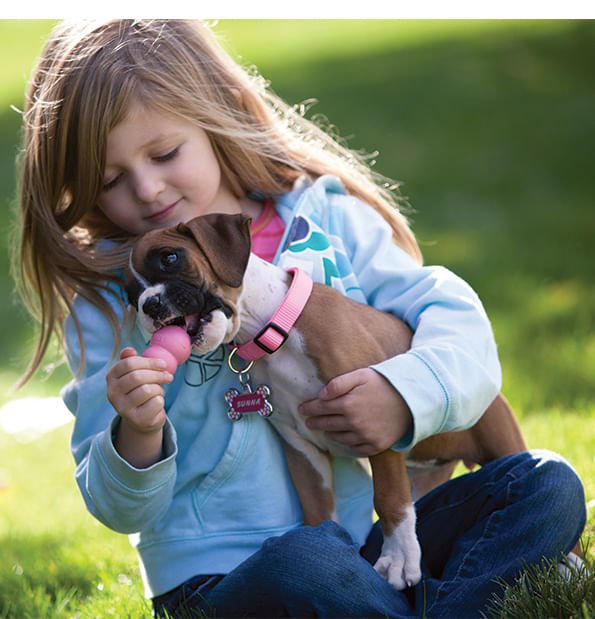 Puppy KONG Treat-Stuffing Chew Dog Toy