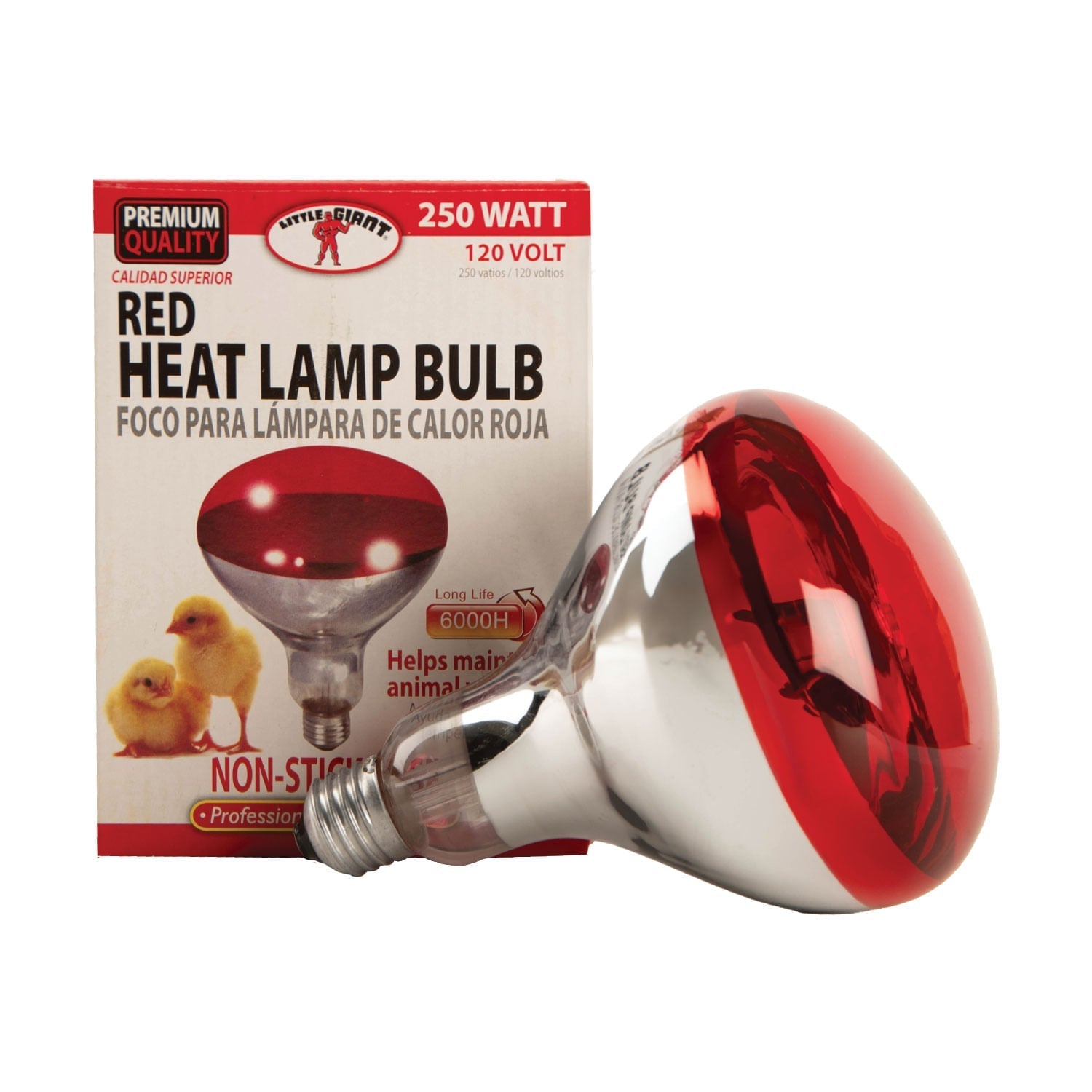 Clamp-On Brooder Heat Lamp for Chicks & Poultry - Compatible with 250W Red & Clear Heat Bulbs