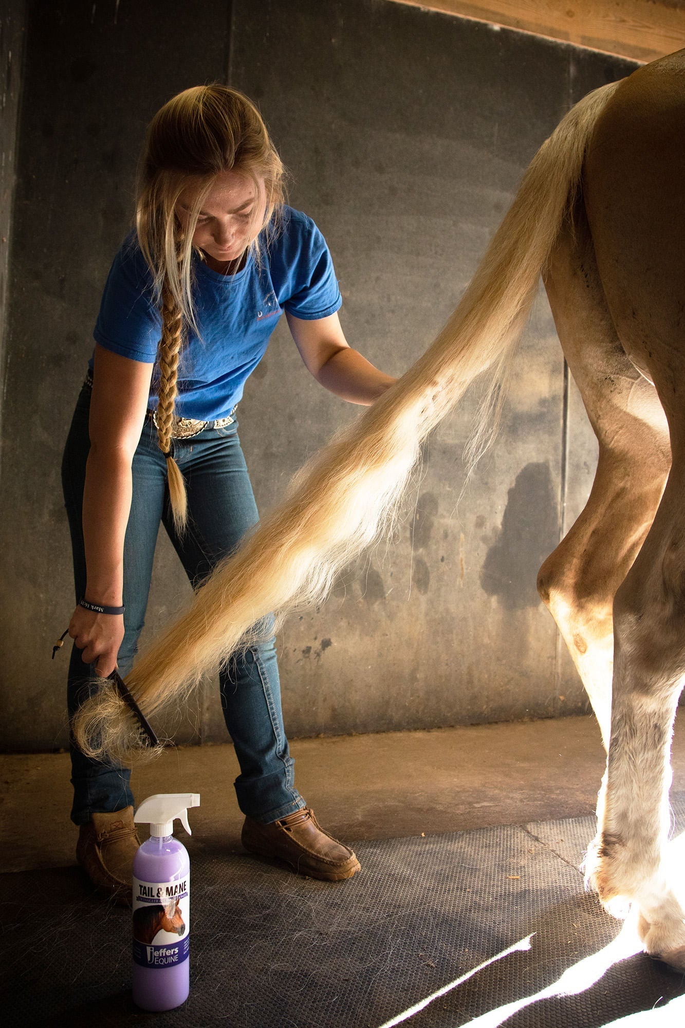 Jeffers Equine Tail & Mane Detangler and Conditioner for Horses