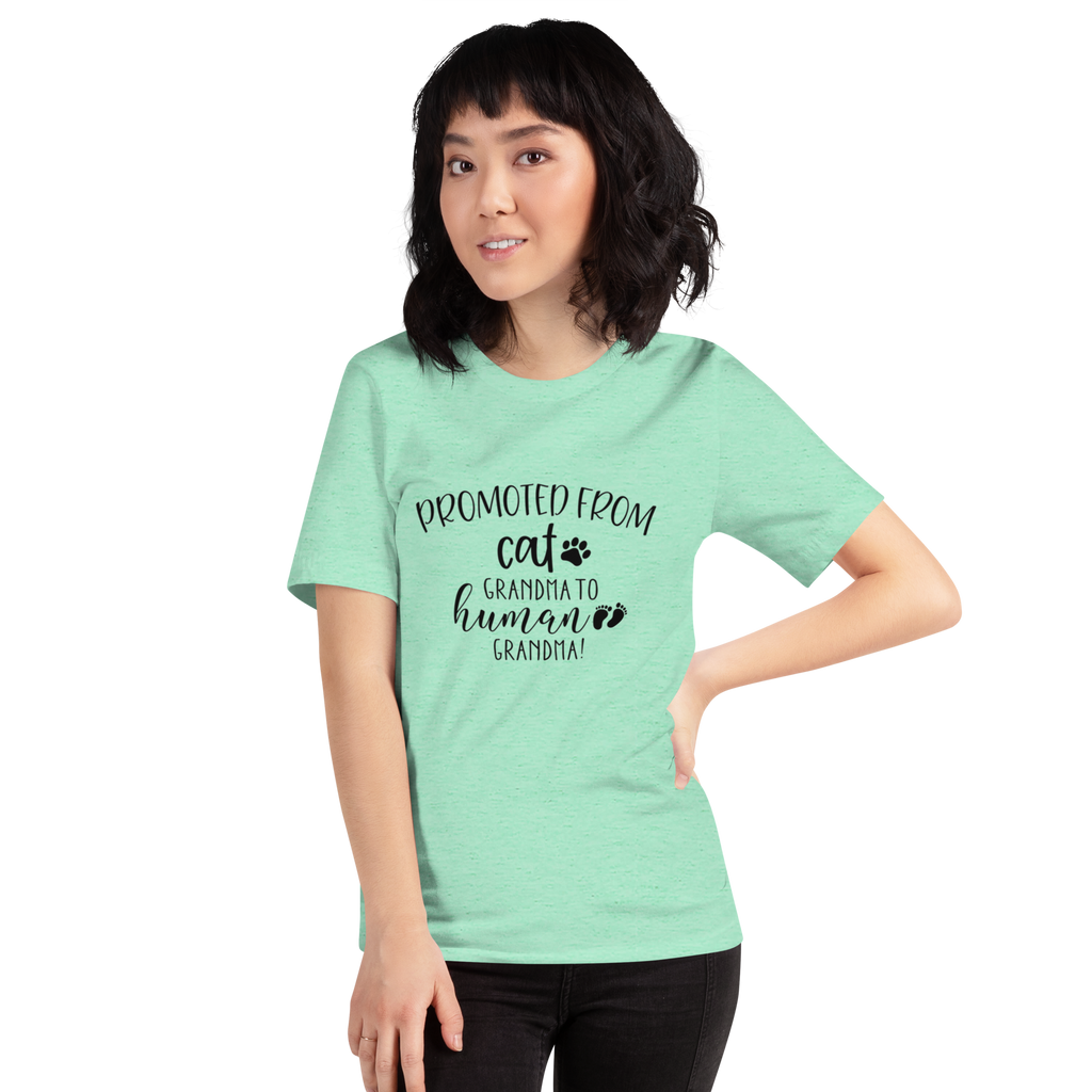 Promoted from Cat Grandma to Human Grandma T-Shirt