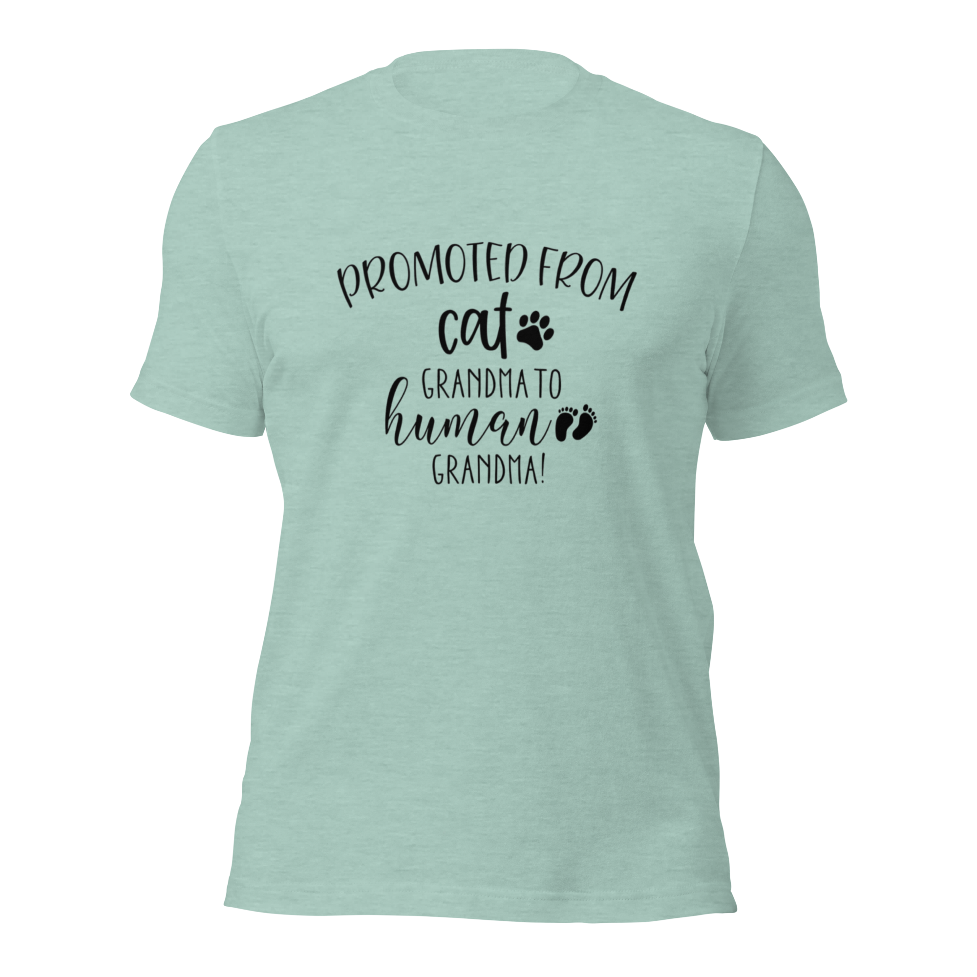 Promoted from Cat Grandma to Human Grandma T-Shirt